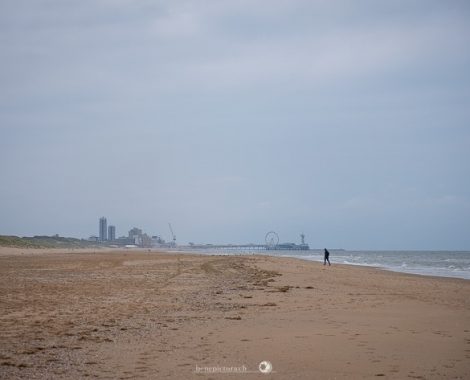 001_Den Haag, Drei Monate, threemonthsagypsy