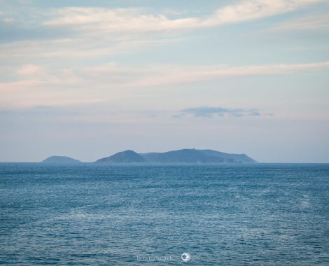 001_Drei Monate, Galicia, Galicien, Sanxenxo, Spain, Spanien, threemonthsagypsy