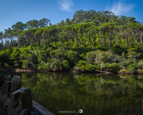 001_Drei Monate, Guincho, Lago Azul, Lissabon, MTB, Portugal, Sintra, Specialized, Specialized Turbo Levo FSR, threemonthsagypsy