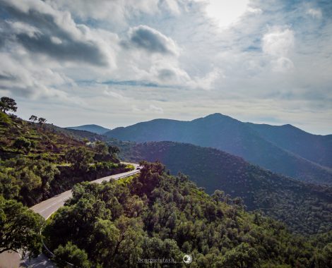 001_Drei Monate, Roses, Spain, Spanien, threemonthsagypsy