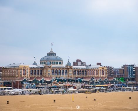 003_Den Haag, Drei Monate, threemonthsagypsy