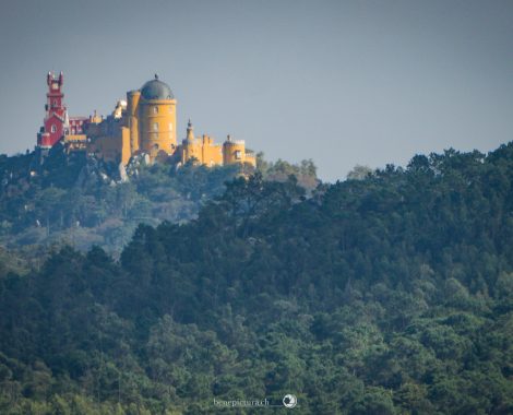 003_Drei Monate, Guincho, Lissabon, MTB, Portugal, Sintra, Specialized, Specialized Turbo Levo FSR, threemonthsagypsy