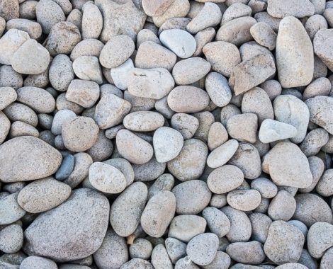 003_Drei Monate, Plougasnou, threemonthsagypsy