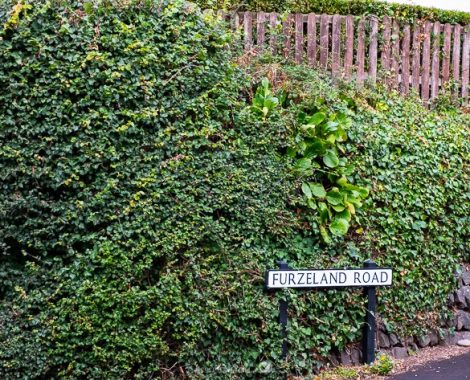 003_Drei Monate, Porlock, Porlock Weir, Somerset, threemonthsagypsy