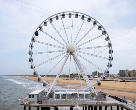 004_Den Haag, Drei Monate, threemonthsagypsy