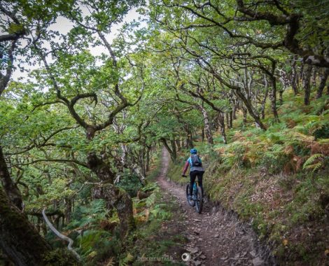 005_Drei Monate, Porlock, Porlock Weir, Somerset, threemonthsagypsy