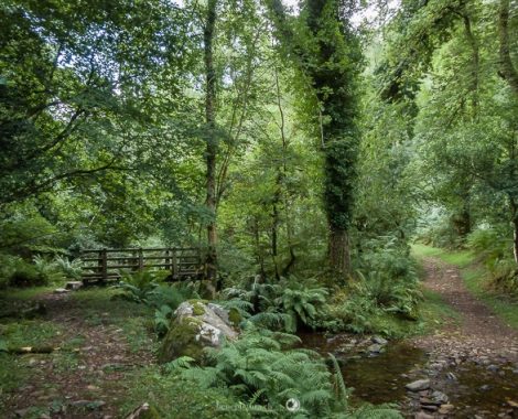 006_Drei Monate, Porlock, Porlock Weir, Somerset, threemonthsagypsy