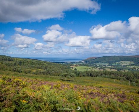 007_Drei Monate, Porlock, Porlock Weir, Somerset, threemonthsagypsy