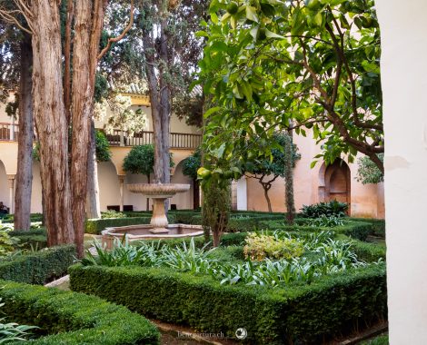 009_Alhambra, Drei Monate, Granada, Spain, Spanien, threemonthsagypsy