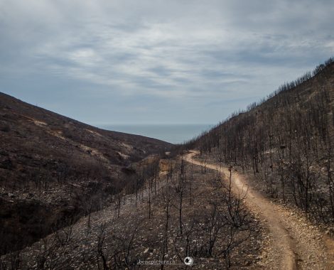 009_Drei Monate, Guincho, Lissabon, MTB, Portugal, Sintra, Specialized, Specialized Turbo Levo FSR, threemonthsagypsy