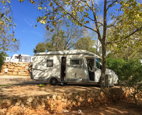 009_Drei Monate, threemonthsagypsy