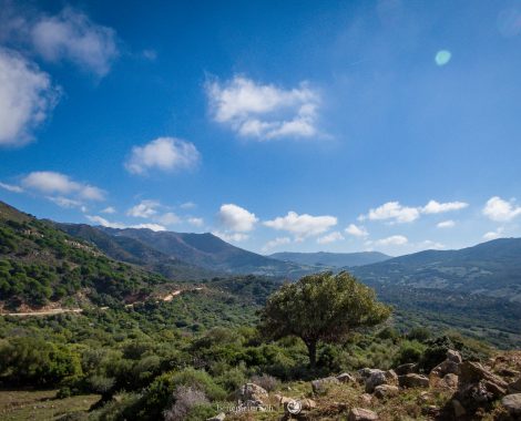 012_Andalusien, Drei Monate, MTB, Spain, Spanien, Specialized, Specialized Turbo Levo FSR, Tarifa, threemonthsagypsy