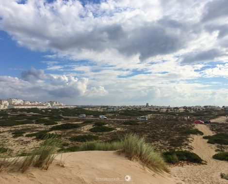 012_Drei Monate, threemonthsagypsy