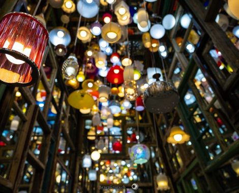 013_Den Haag, Drei Monate, threemonthsagypsy