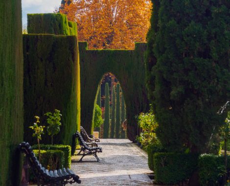 015_Alhambra, Drei Monate, Granada, Spain, Spanien, threemonthsagypsy