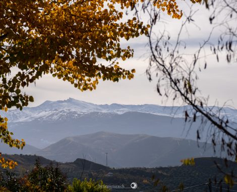 020_Drei Monate, Granada, Spain, Spanien, threemonthsagypsy