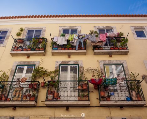 021_Drei Monate, Lisbon, Lissabon, Portugal, Surfing, threemonthsagypsy, Waves