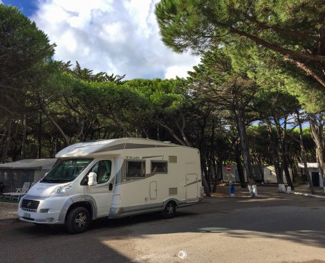 022_Drei Monate, threemonthsagypsy