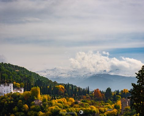 023_Drei Monate, Granada, Spain, Spanien, threemonthsagypsy