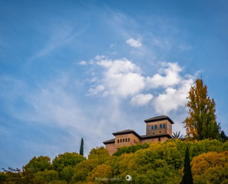 027_Drei Monate, Granada, Spain, Spanien, threemonthsagypsy