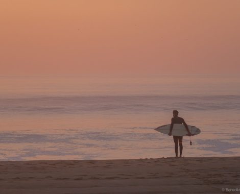 Vom 10.01. - 14.01.2019 noch nichts vor? Am Wochenende auch nicht? Das Wetter lädt geradezu ein die grösste Fotoschau der Schweiz zu besuchen. Spannende Menschen, Bilder und Workshops.
Ich selbst halte 9 Workshops zu unterschiedlichsten Themen. Kommt vorbei und lernt dazu oder kommt einfach so vorbei. Wir freuen uns! 
https://www.photo-schweiz.ch/seminar-und-workshop-programm/?tag=Hofmeister