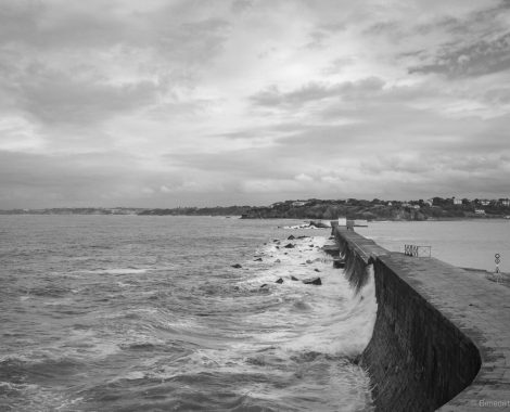 147_Côte Basques, Drei Monate, Frankreich, threemonthsagypsy