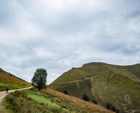 184_Asturia, Asturien, Avin, Drei Monate, Los Lagos, Mountainbike, Mountains, Picos de Europa, Spain, Spanien, Specialized, Specialized Turbo Levo FSR, threemonthsagypsy